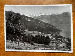 Alte Ansichtskarte: Panorama vom Blumenberg, gelaufen 1937