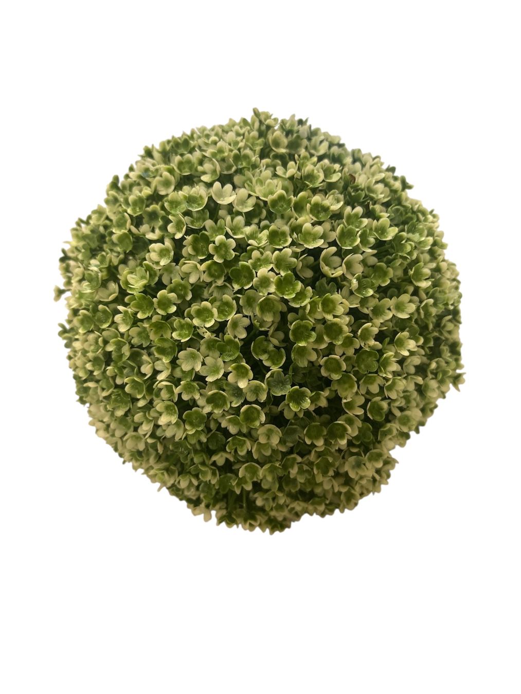 Tutte le decorazioni: Buchsbälle künstlich 20cm – Nuovo (secondo la descrizione) da Oftringen venduto da SCHIBLI1