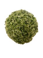 Buchsbälle künstlich 20cm