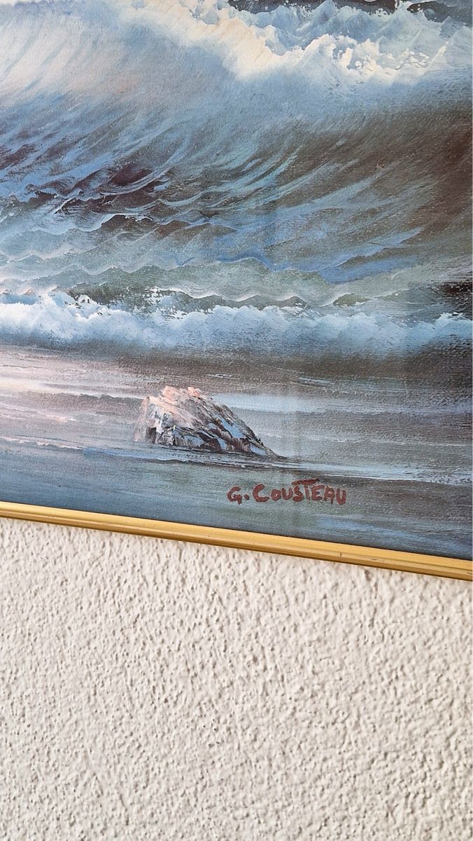 Foto & Immagini: Bild vom Künstler G. Cousteau – Usato da Bonstetten venduto da AngelaF23 1