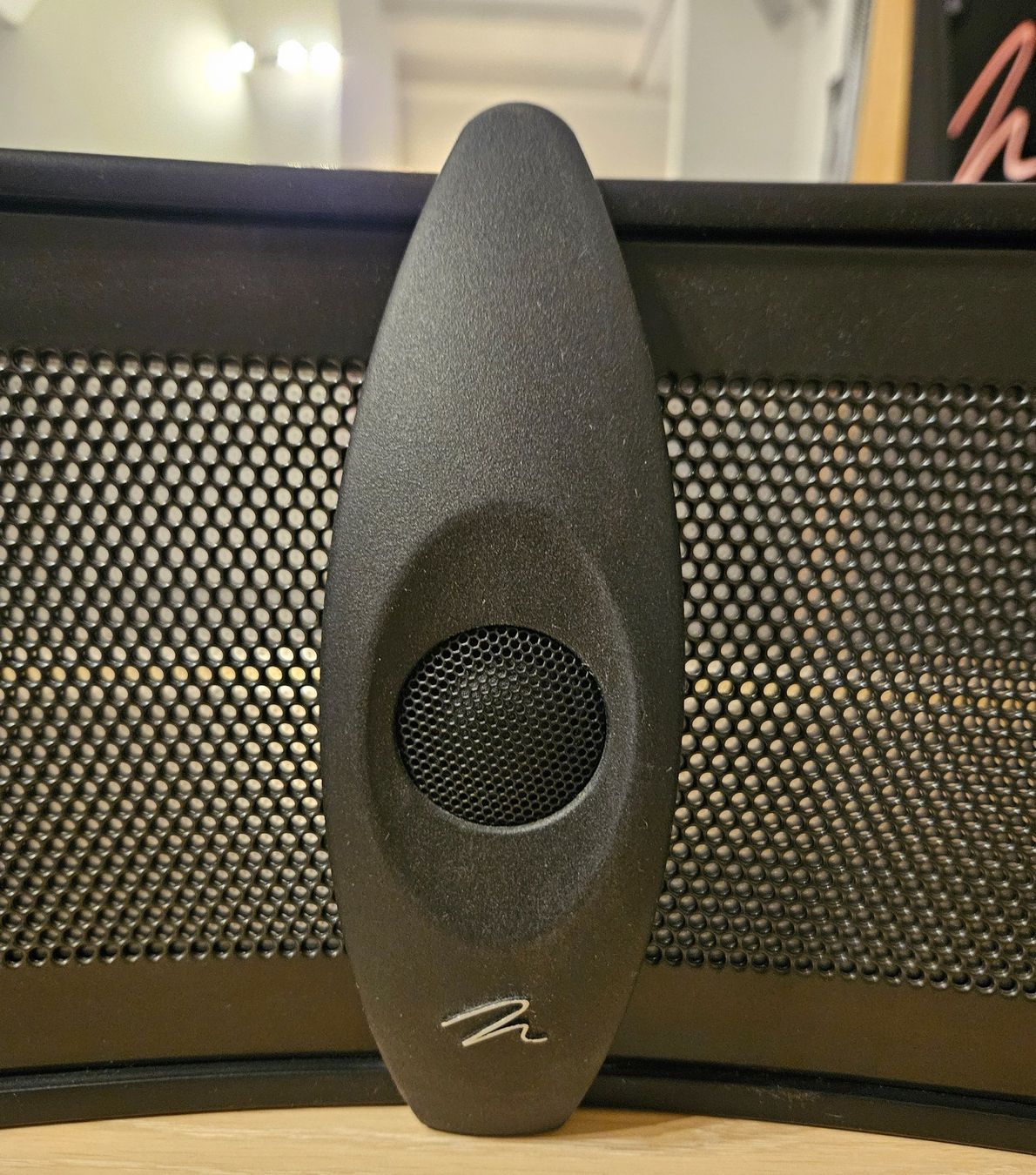 Martin Logan Lautsprecher: Martin Logan Cinema i – Gebraucht aus Riazzino von TicinoCarAudio 6