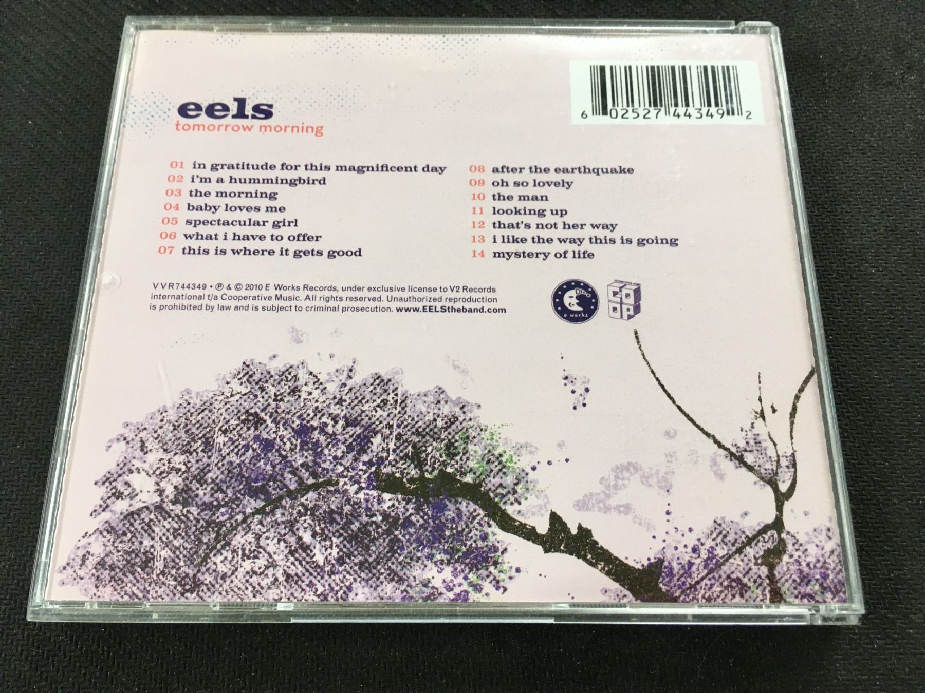 CD: Eels - Tomorrow Morning -CD- – Usato da St.Gallen venduto da MedienJoe 2