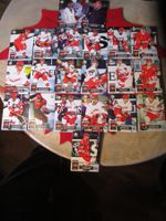 EISHOCKEY NATIONAL MANNSCHAFT SAMMELKARTEN 1996/97  ANTIK
