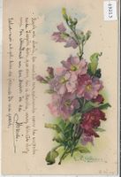 Catharina Klein - Blumen