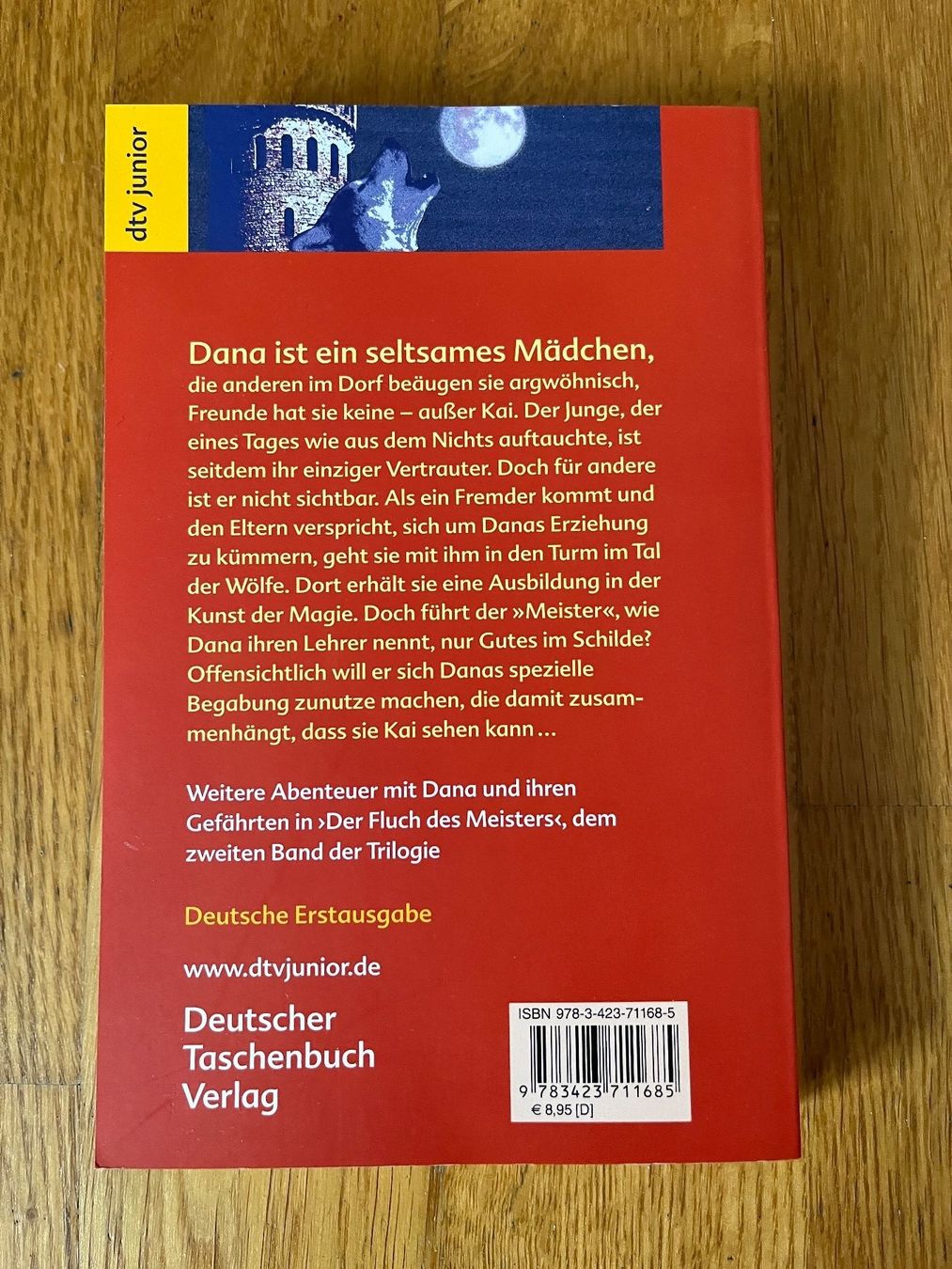 Libri: Taschenbuch "Das Tal der Wölfe", dtv junior – Nuovo (secondo la descrizione) da Grosswangen venduto da Vita500 1