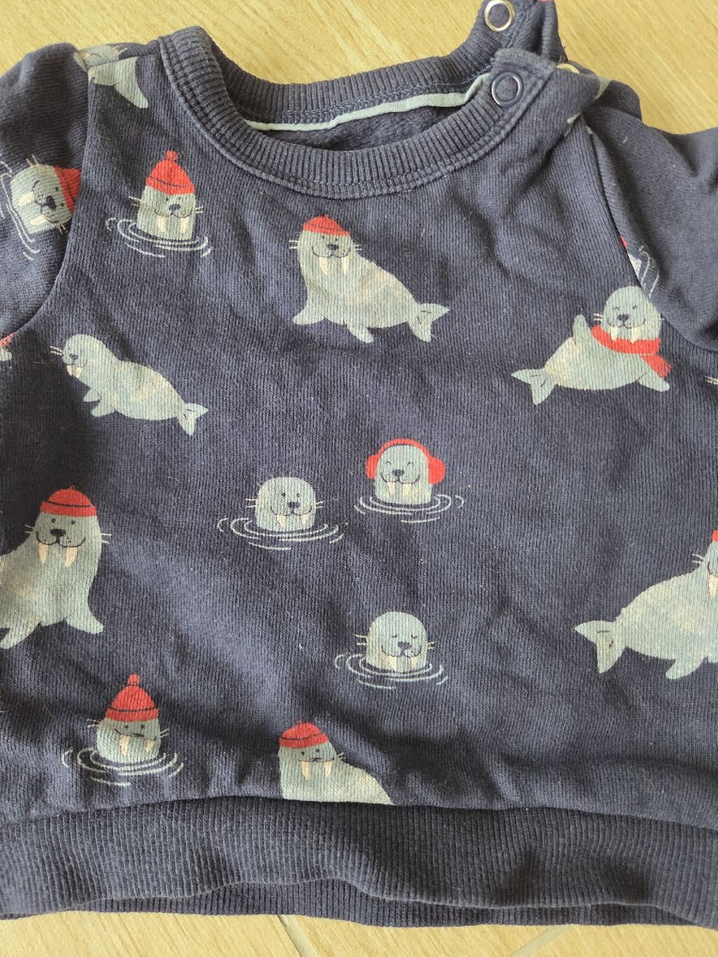C&A Maglioni & Felpe: Pull chaud bébé (6mois/68) - Motif phoques festifs! – Usato da Neuchâtel venduto da bilao 3