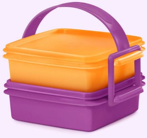 Picknick-Set mit Henkel - Tupperware (Neu (gemäss Beschreibung)) in ...