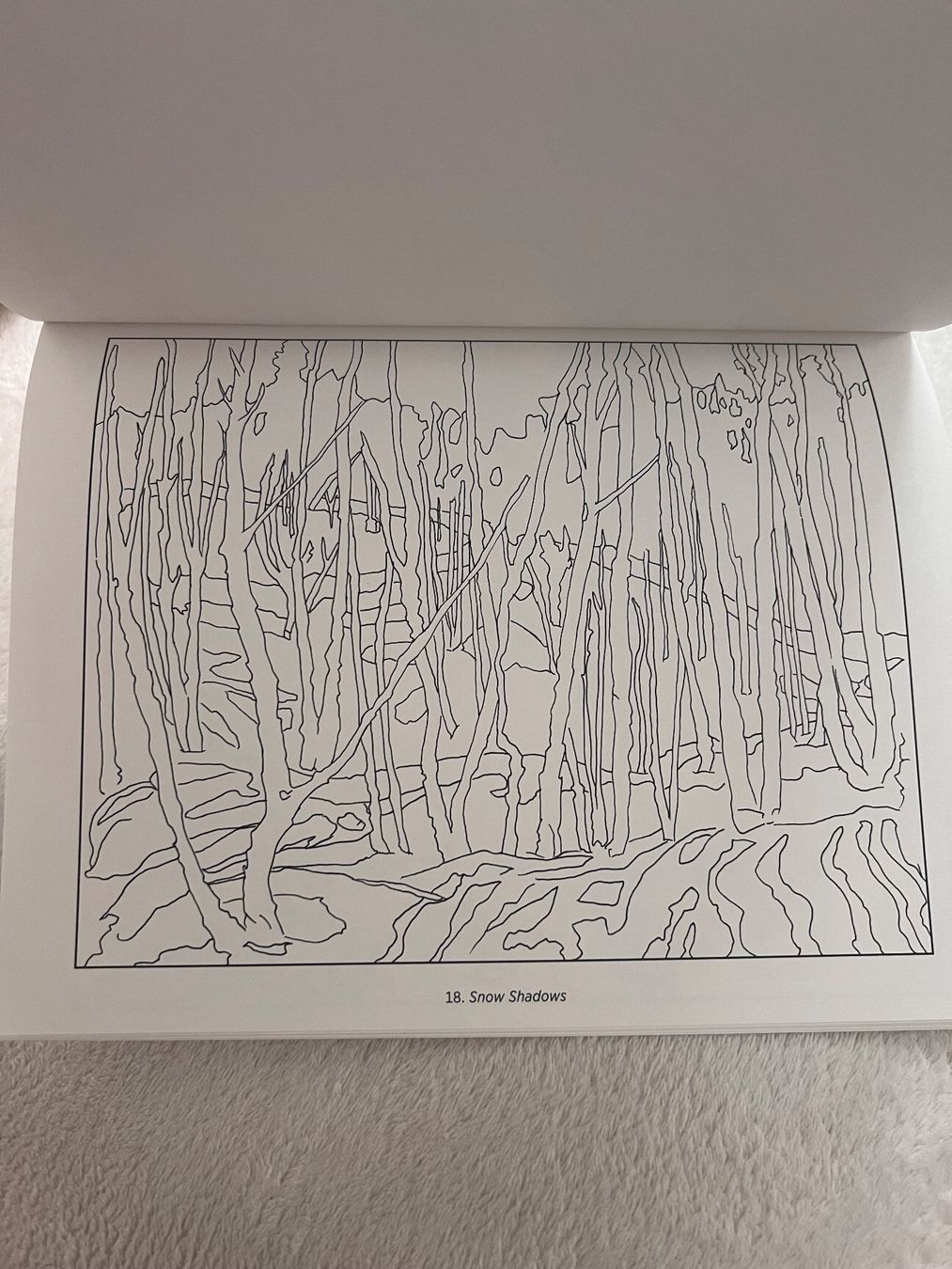 Libri: Coloring book by Tom Thomson – Nuovo (secondo la descrizione) da Lausanne venduto da NYC67 2