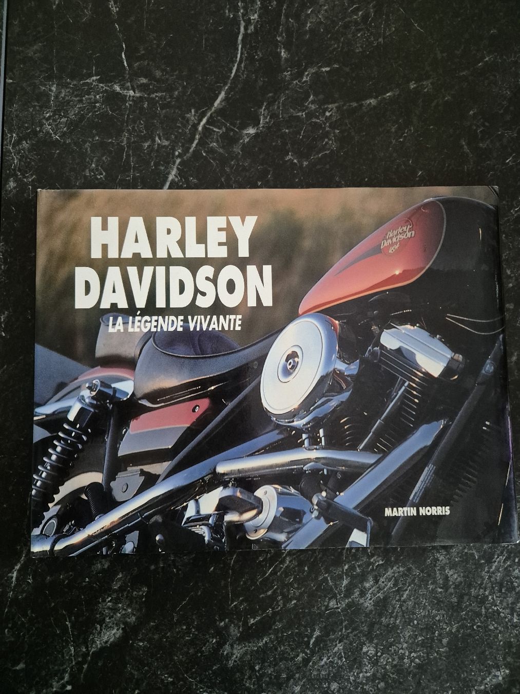 Libri: Livre Harley-Davidson – Usato da Le Locle venduto da CHEGUA