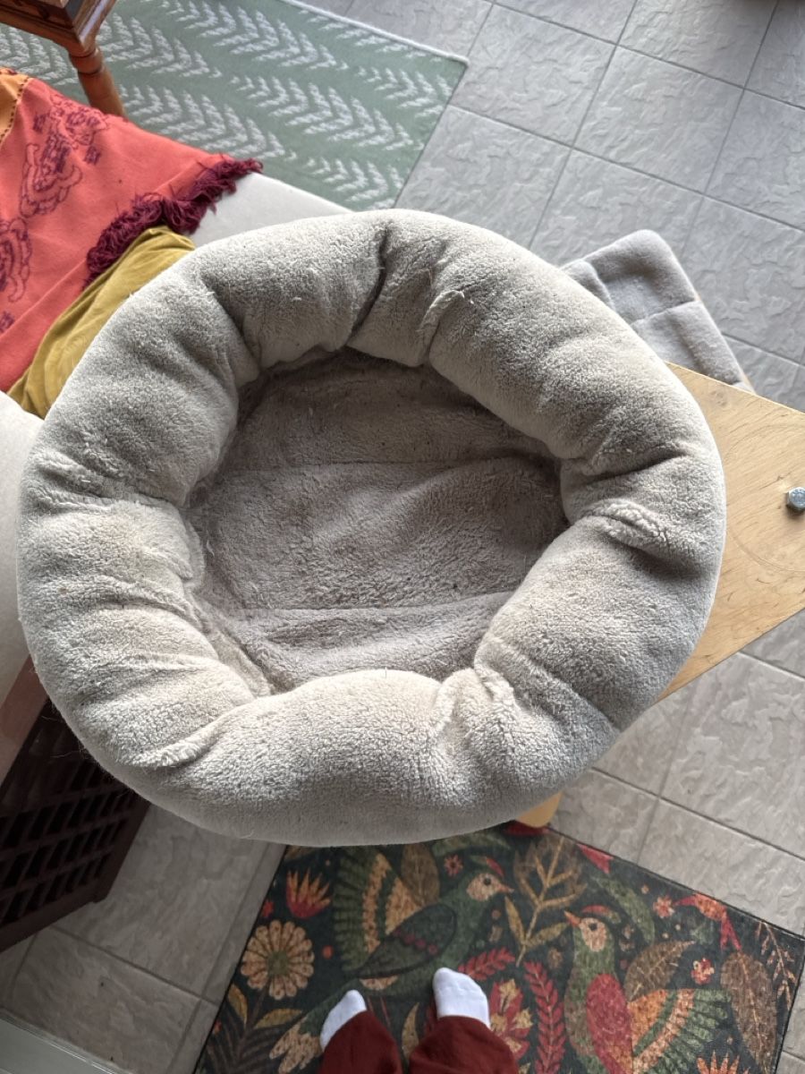 Tiragraffi: Katzenbaum 120cm hoch  – Usato da Zürich venduto da wue_7zcq 3
