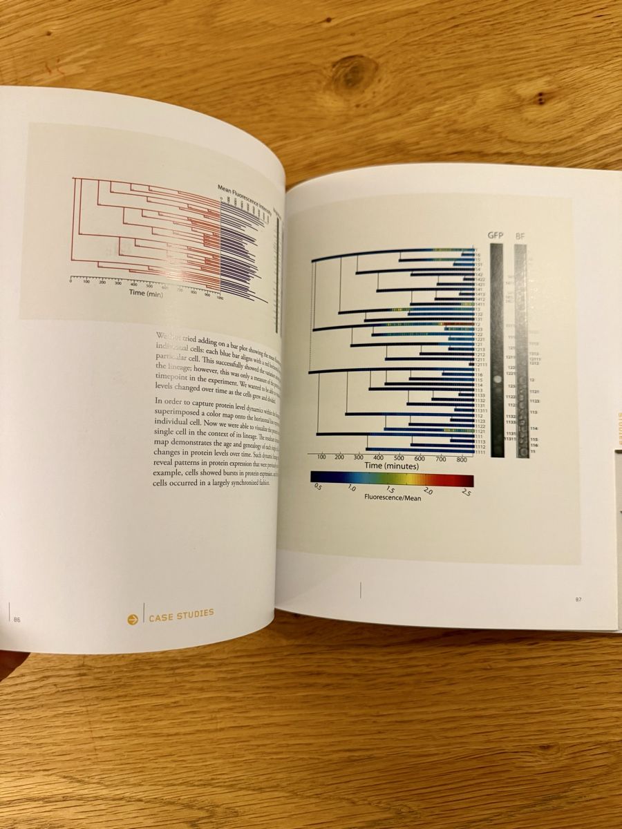 Bücher: Visual Strategies - graphics guide for scientists engineers – Neu (gemäss Beschreibung) aus zürich von greenmodul 9