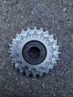 Roue libre vélo de route vintage / Vintage Rennrad Freilauf
