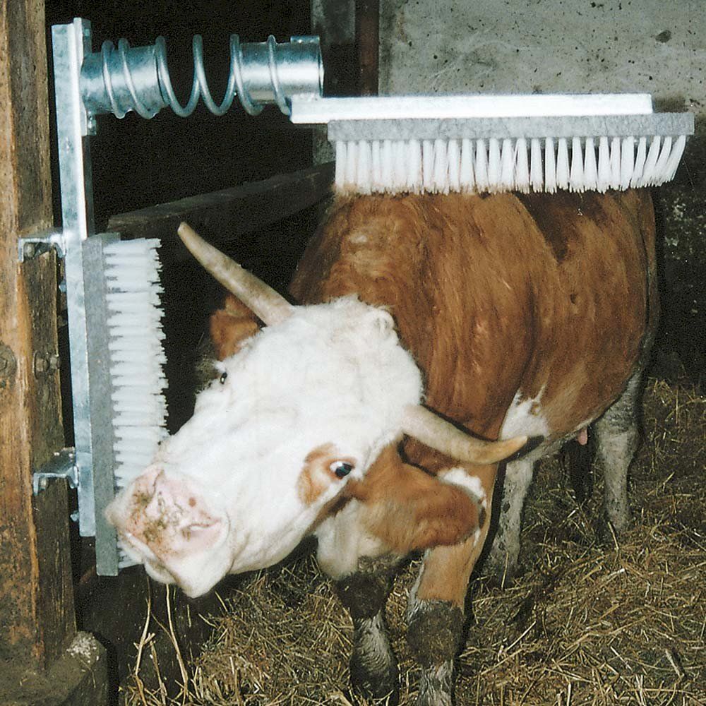 Sonstige Stalleinrichtungen: Kerbl Viehbürste EuroFarm – Neu und originalverpackt aus Bottighofen von zaap 1
