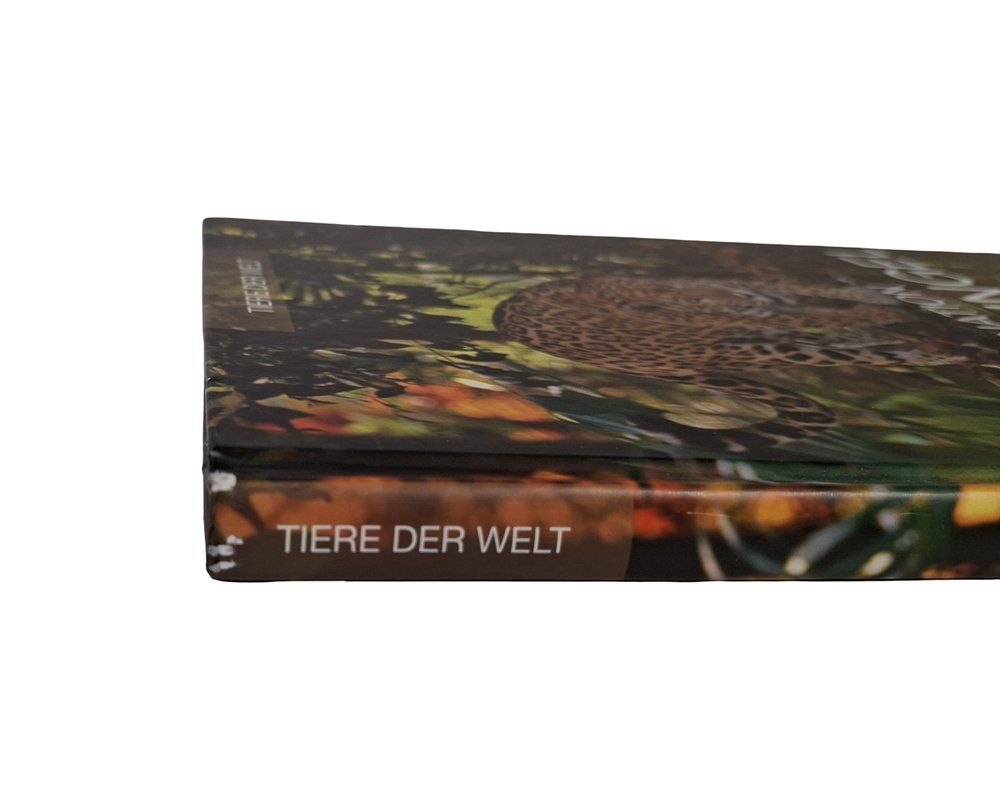 Libri: LINGEN Faszination Dschungel – Usato da Wil SG venduto da Restwert_Wil 3