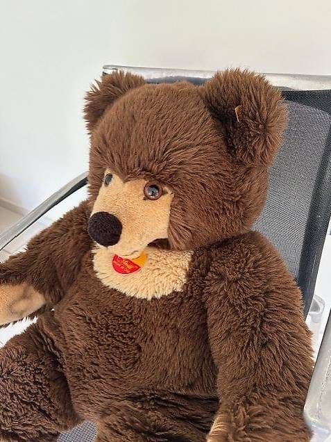 Steiff Giocattoli: Steiff Teddy Bär Molly XXL – Nuovo (secondo la descrizione) da Egg b. Zürich venduto da eve_h8pg