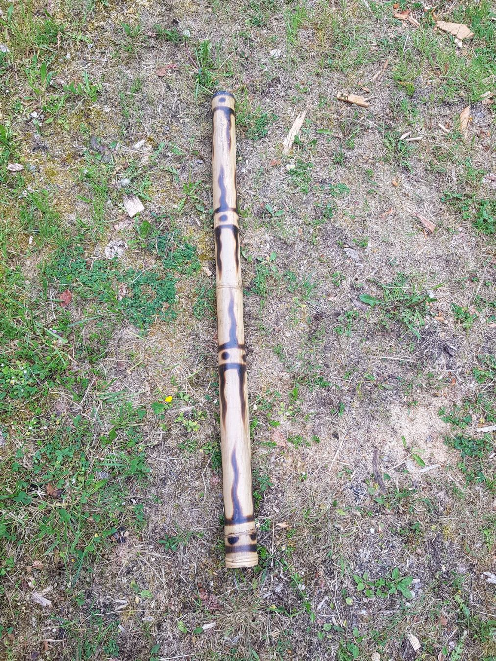Strumenti musicali: Didgeridoo – Usato da Roches BE venduto da Fanato7