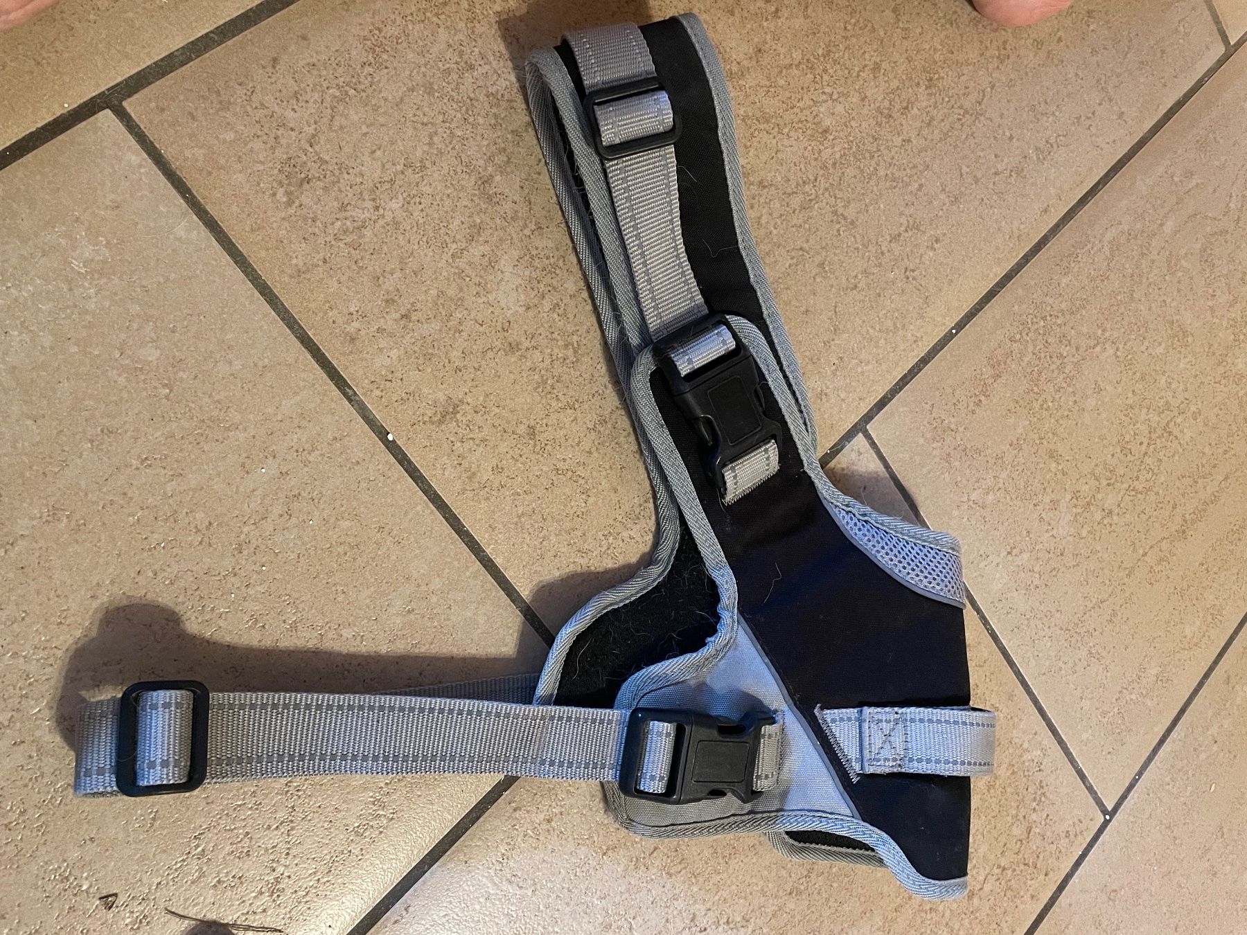 Bekleidung: Hunde Geschirr – Gebraucht aus Gebenstorf von mo06