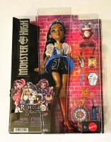 Monster High Robecca Steam Puppe Neu & OVP