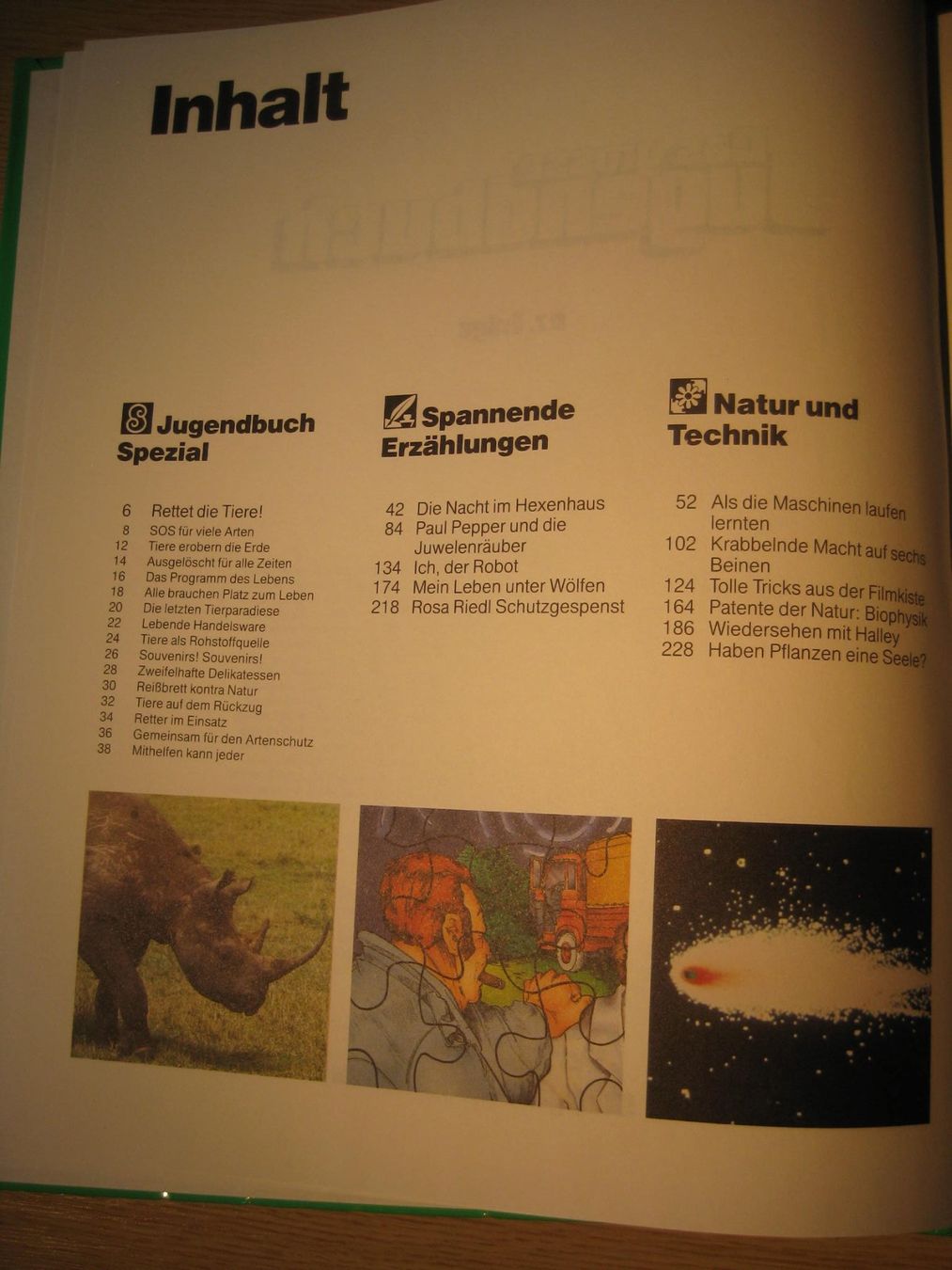 Livres: Das grosse Jugendbuch – D'occasion à Greifensee par Janali01 3