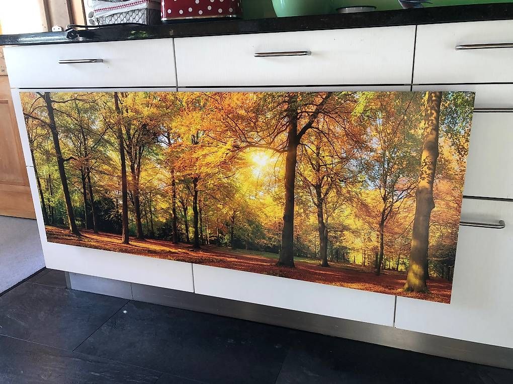 Foto & Immagini: Bild Herbstwald – Usato da Matten(St.Stephan) venduto da ren_r8tw
