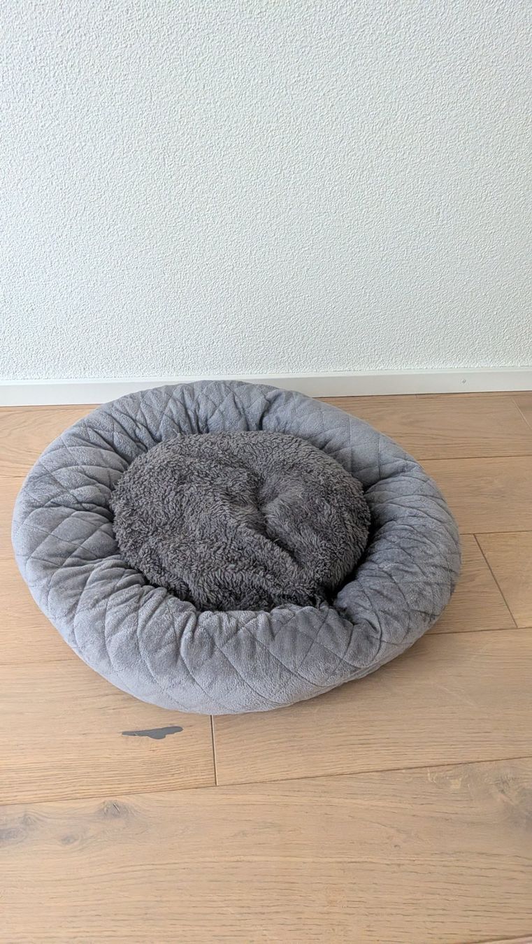 Cucce & Letti: Haustierbett / Pet bed – Usato da Zürich venduto da nik_86zh 1
