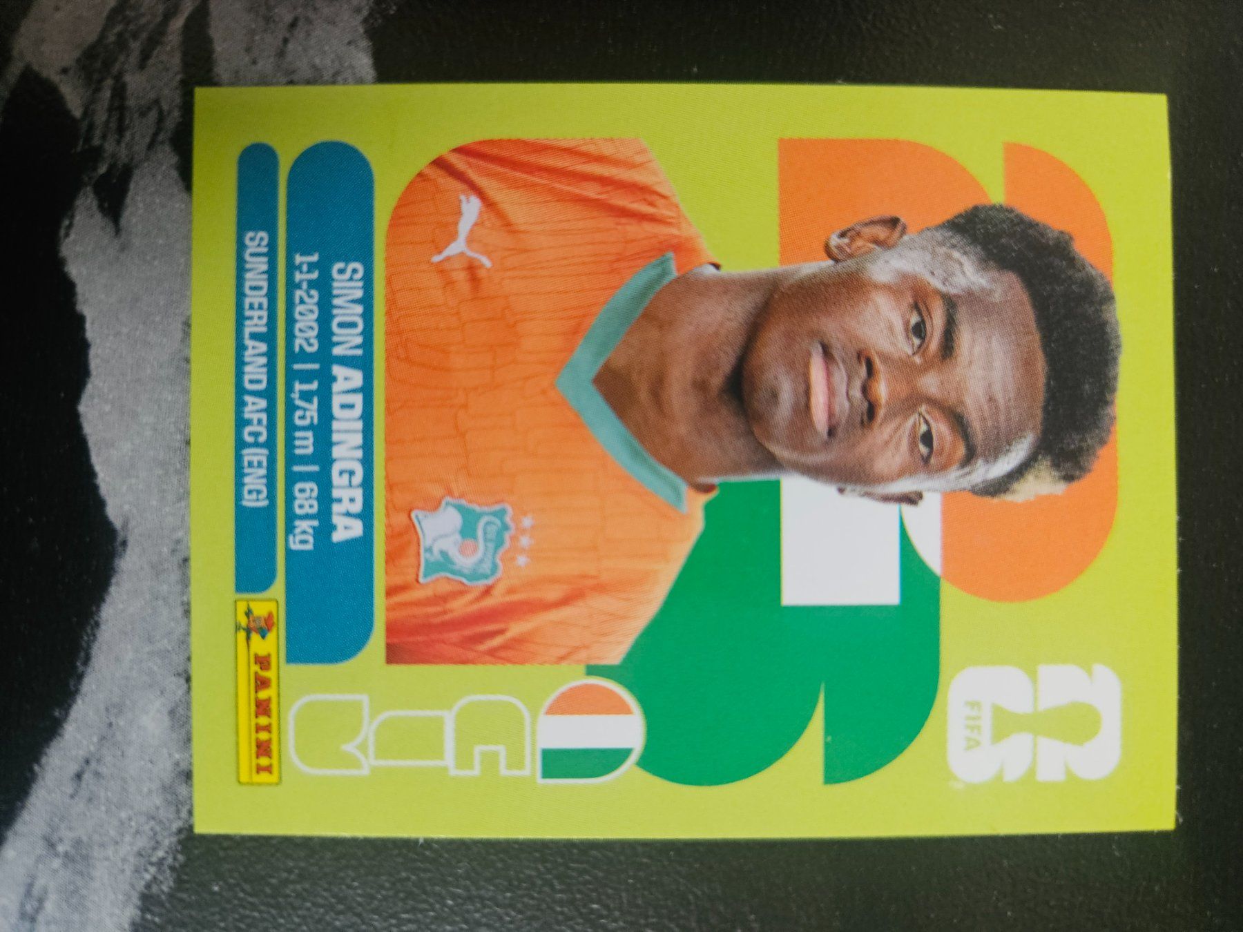 Panini Cartes à collectionner: CIV 17 – D'occasion à Würenlingen par Dinli