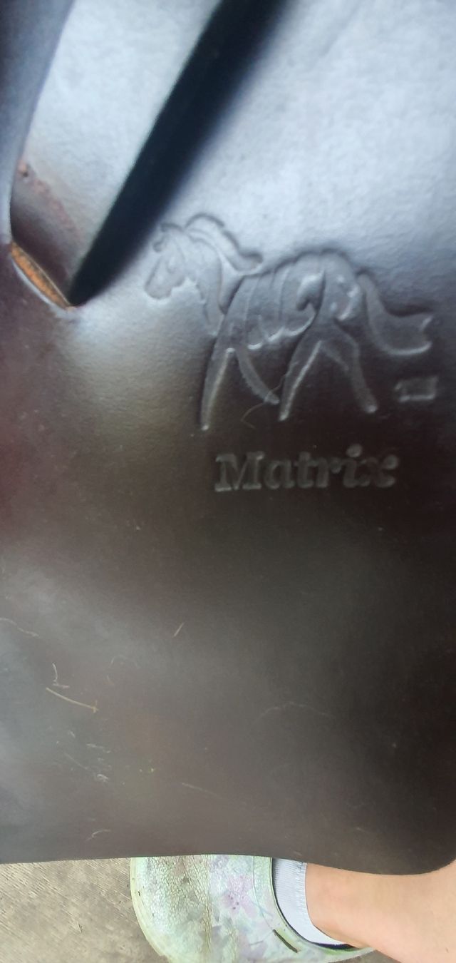 Selle & Accessori: Balance Sattel Matrix – Usato da Diemtigen venduto da Luckern 5