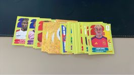 43 Panini Fussballkarten 