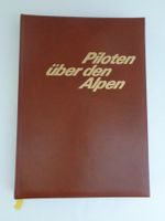 Piloten über den Alpen