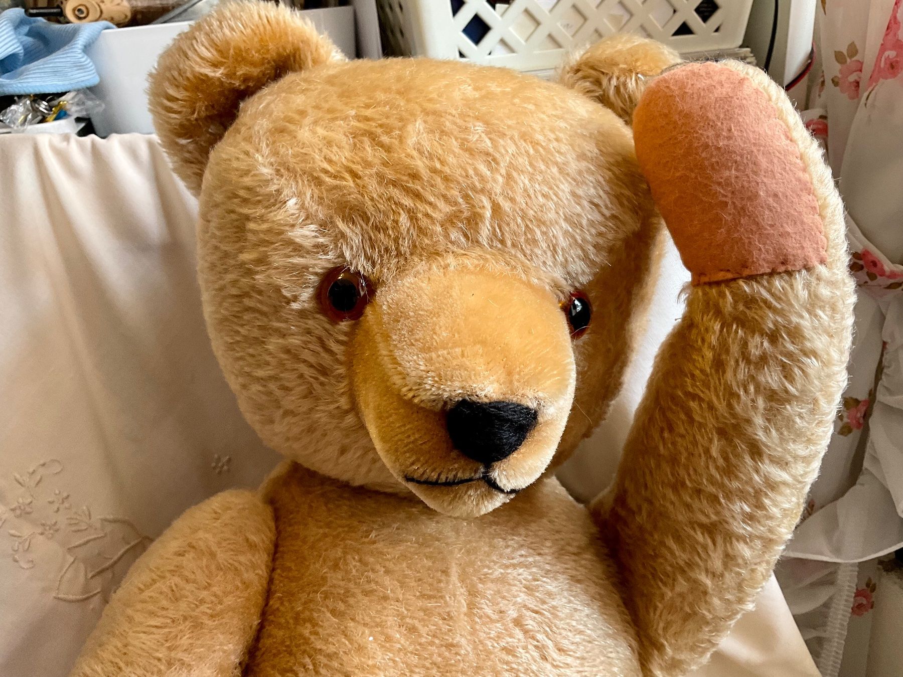 Teddy Hermann Jouets: Teddy Bär – D'occasion à Herisau par eri_2tb5 4