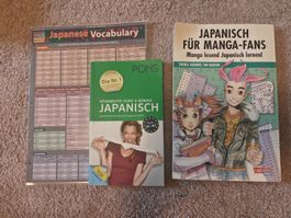 Japanisch lernen Starterset