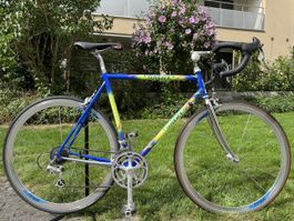 Rennvelo Willier Triestina