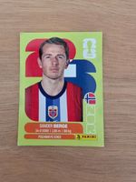 Panini Fifa NOR 11
