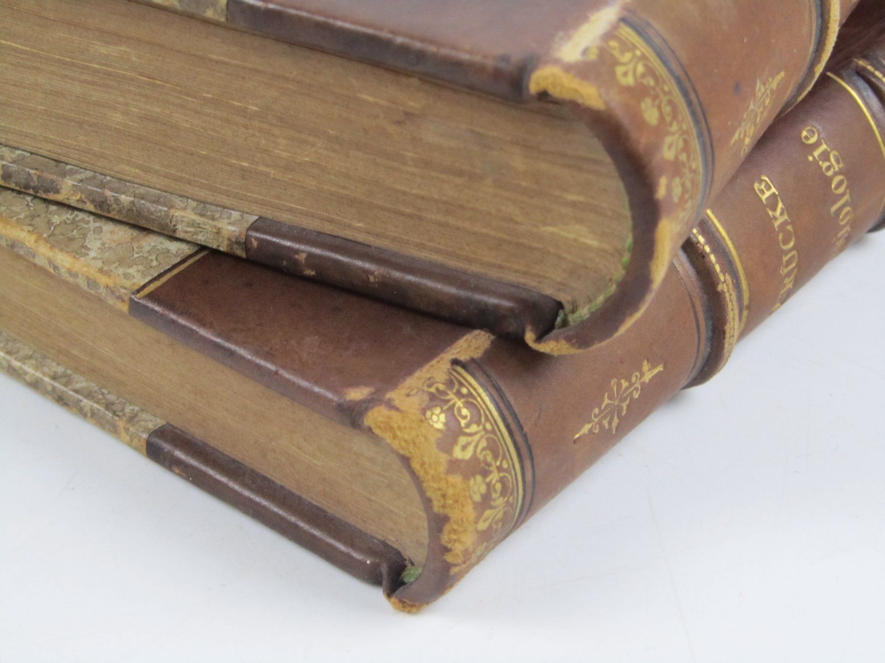 Libri: Vorlesungen über Physiologie 1&2 – Usato da Muhen venduto da Restwert_Muhen 9