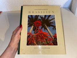 BUCH: Kurt Peter Karfeld, Brasilien