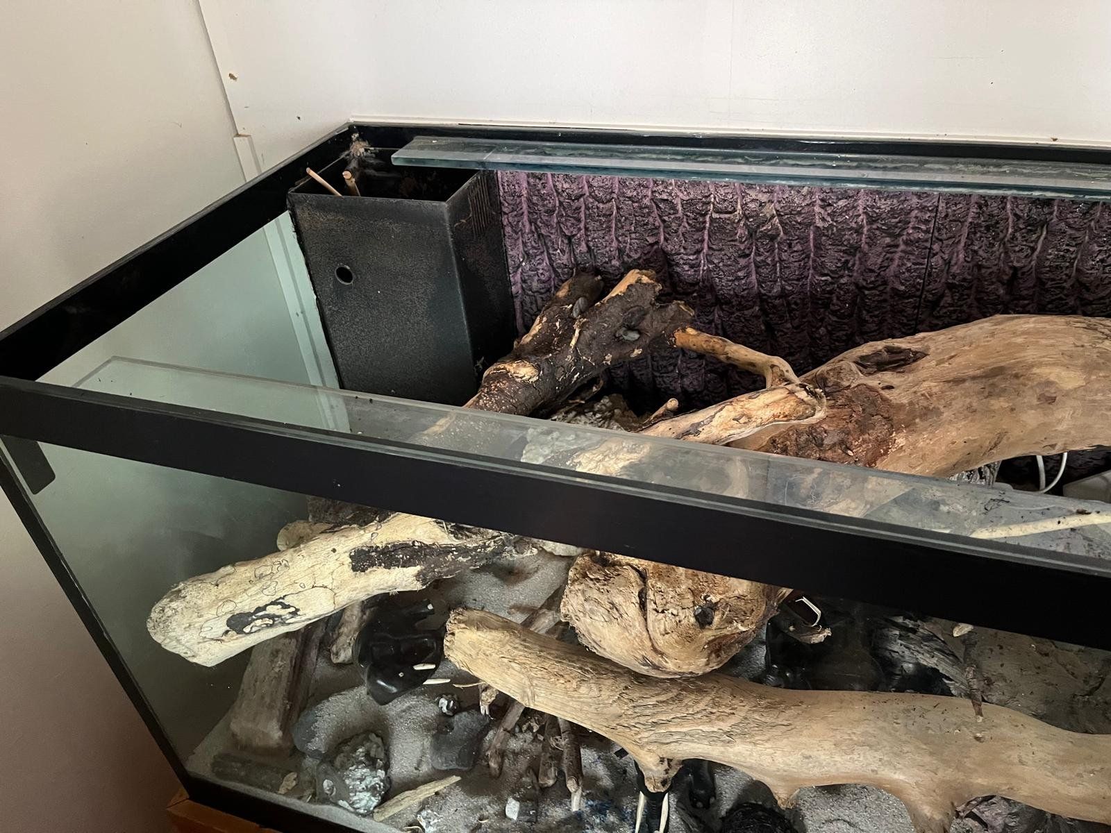 Acquari: Aquarium – Usato da Mollis venduto da berggeis01 1