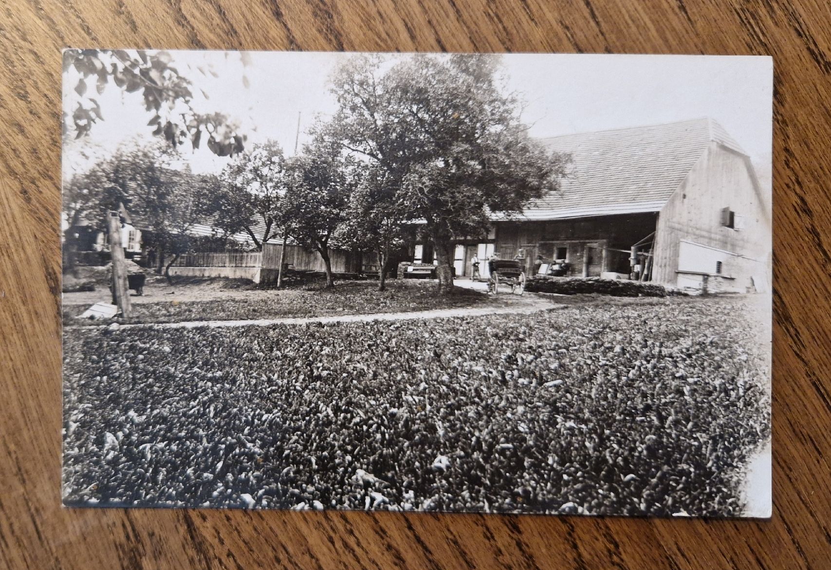 Cartoline postali: Bauernhof mit Einspänner, wahrscheinlich Bernbiet – Usato da Ebikon venduto da Donar50