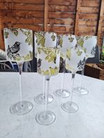 6 STK GROSSE DEKOGLÄSER DEKOGLAS