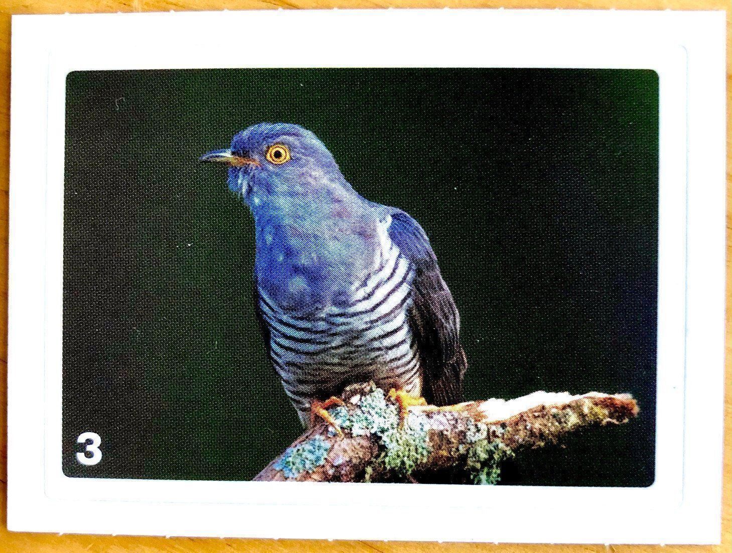 Migros Carte collezionabili: Migros Nature Detectives - Bild Nr. 3 – Nuovo (secondo la descrizione) da Oberrieden venduto da Zimmerberg10