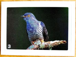 Migros Nature Detectives - Bild Nr. 3