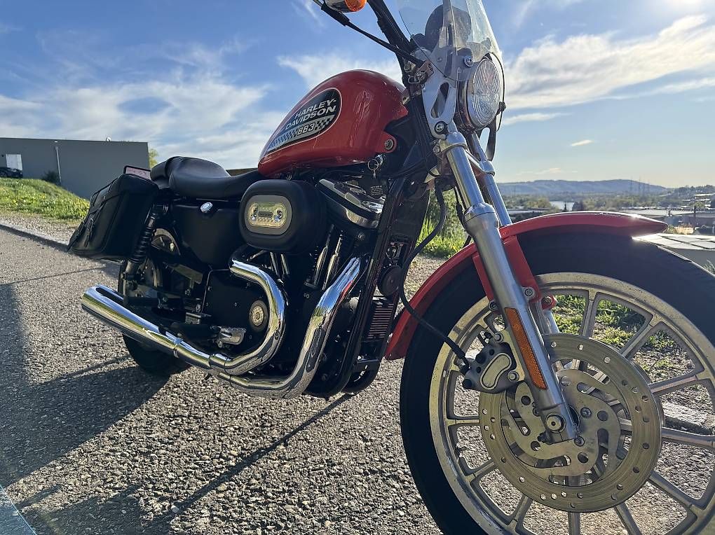 Chopper: Harley-Davidson Sportster 883R  – Usato da Laufenburg venduto da fal_lm5f