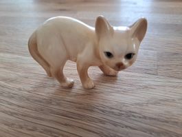Porzellankatze zu verkaufen