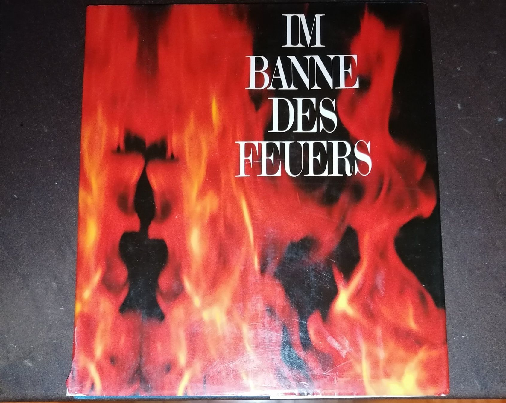 Libri: IM BANNE DES FEUERS – Usato da Kirchleerau venduto da hir_w8lc