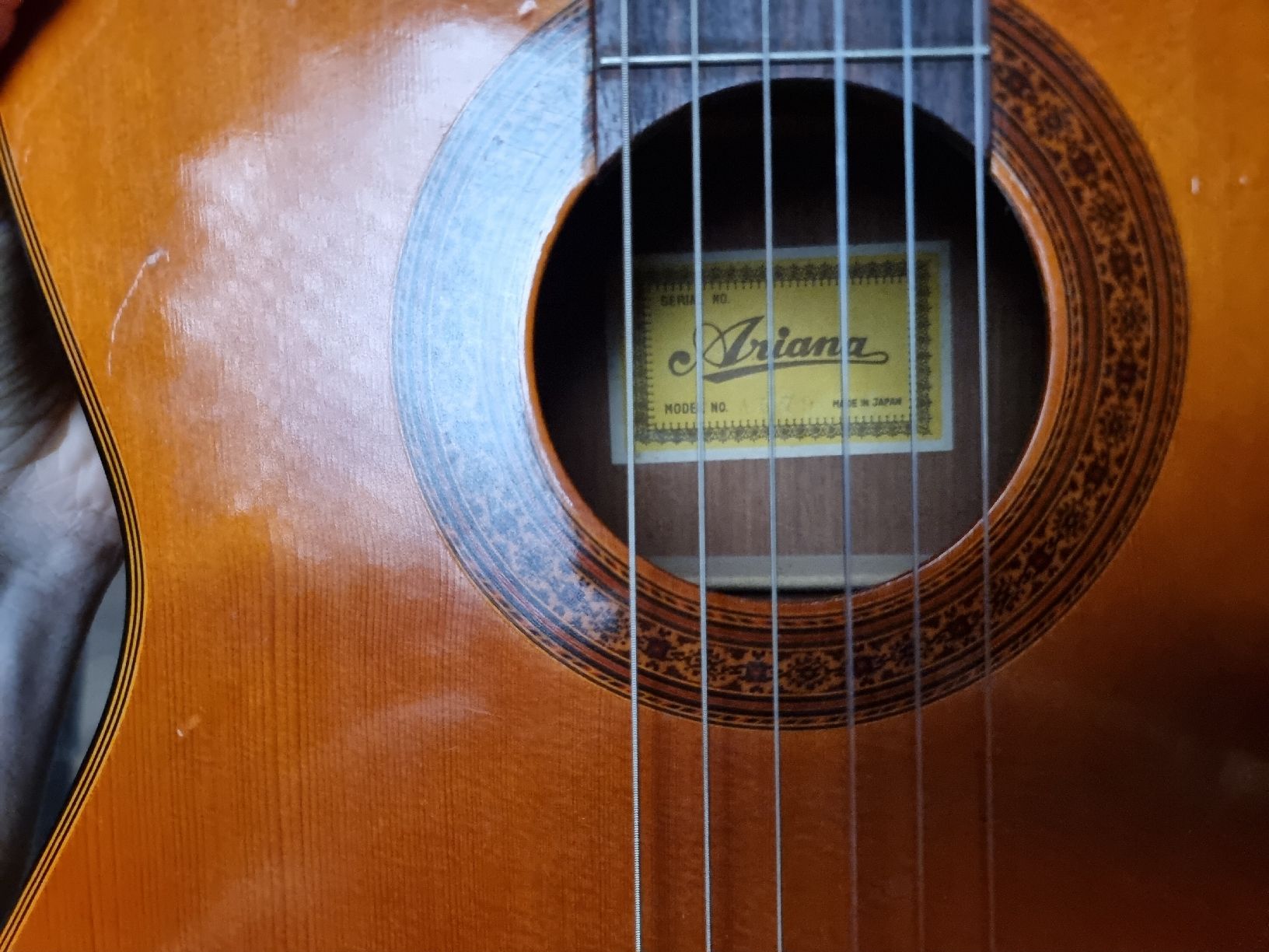 Aria Strumenti musicali: Classical Guitar Ariana A579 – Usato da Solothurn venduto da lyn_6wfc 1