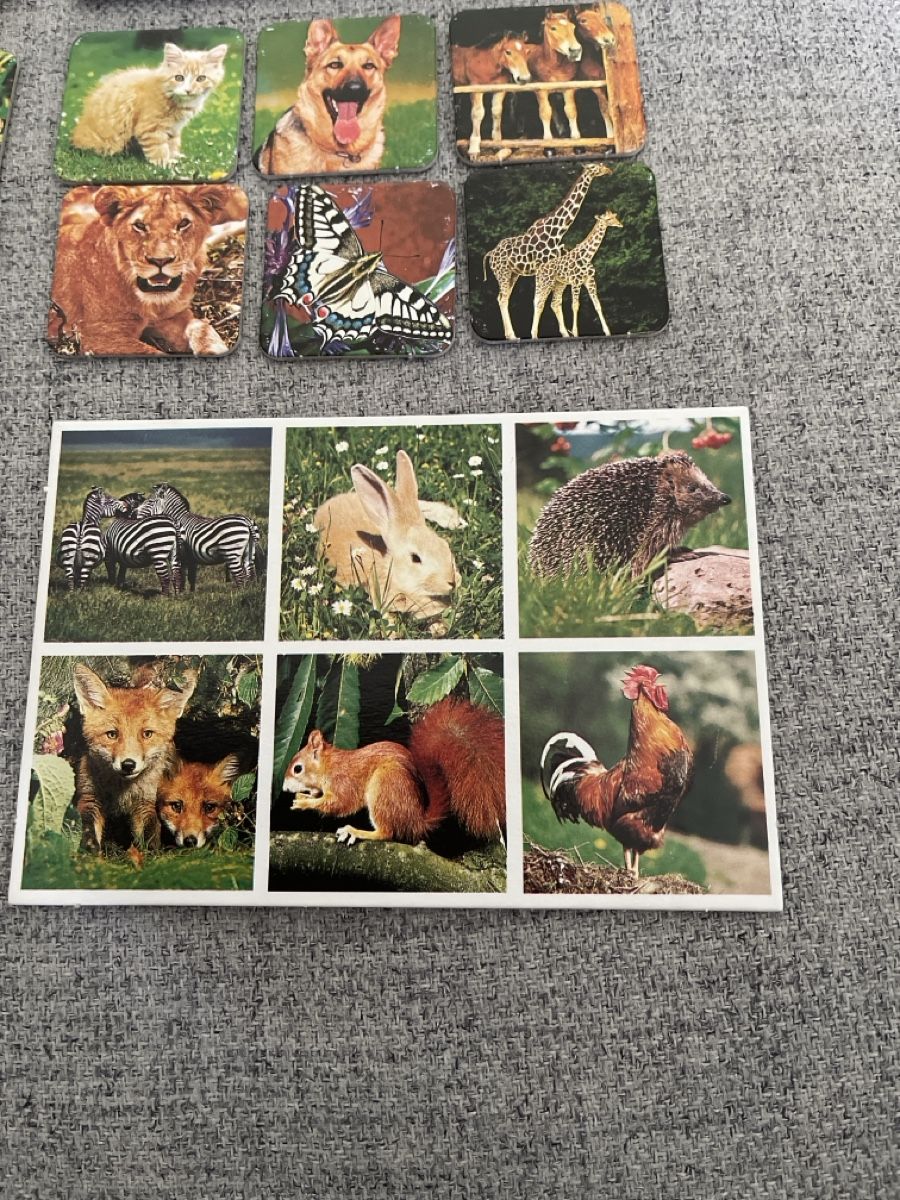 Giochi: Zoo-Lotto, Kinderspiel – Usato da Oberrieden venduto da Boccia1981 2