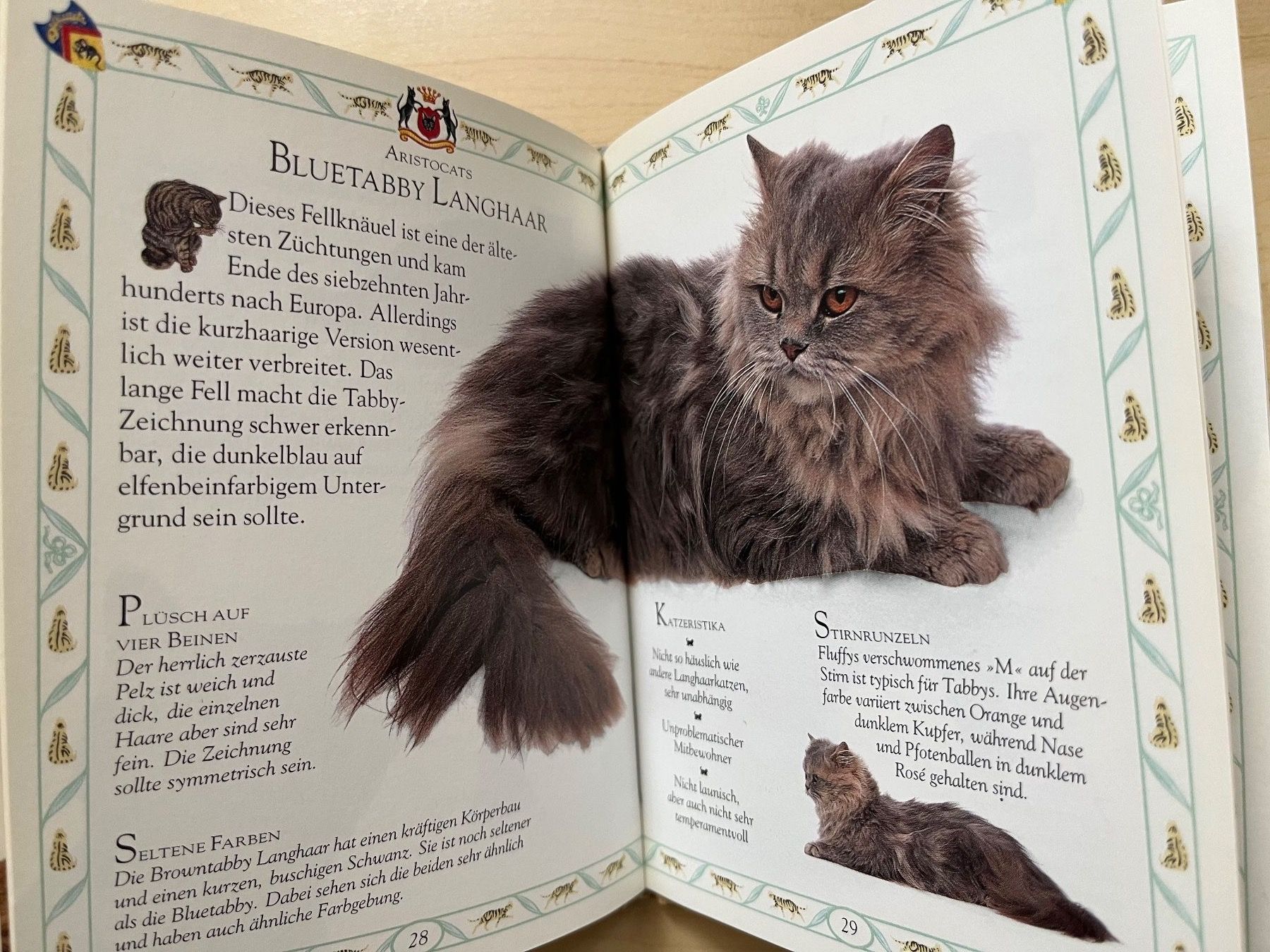 Libri: Tigerkatze - Das persönliche Brevier – Usato da Zürich venduto da Gurkis 5