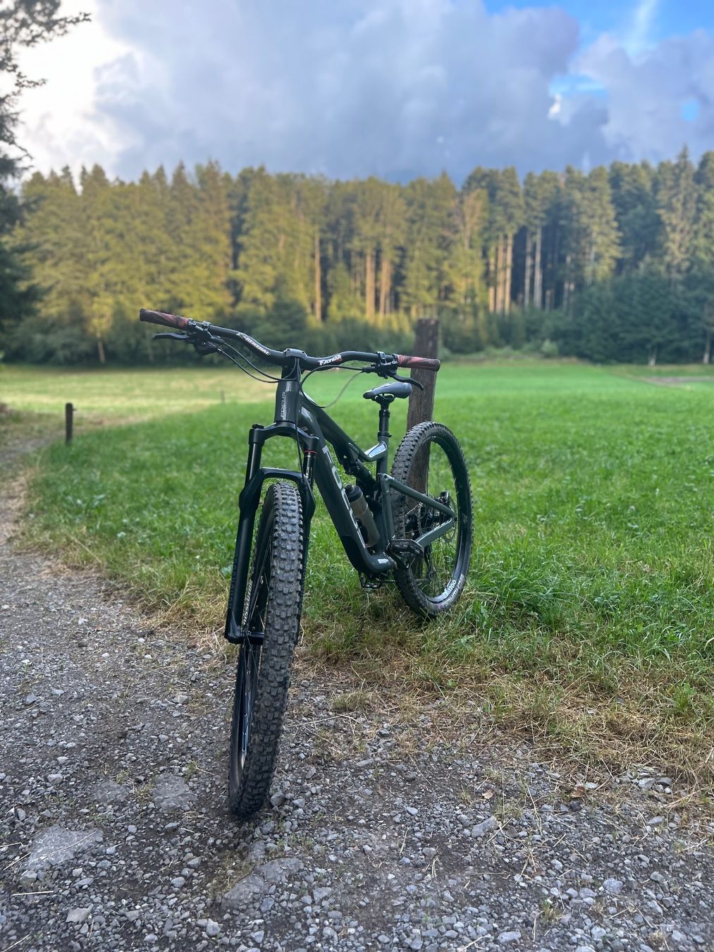 Focus Velos: Focus thron – Gebraucht aus Remaufens von que_v85b 1