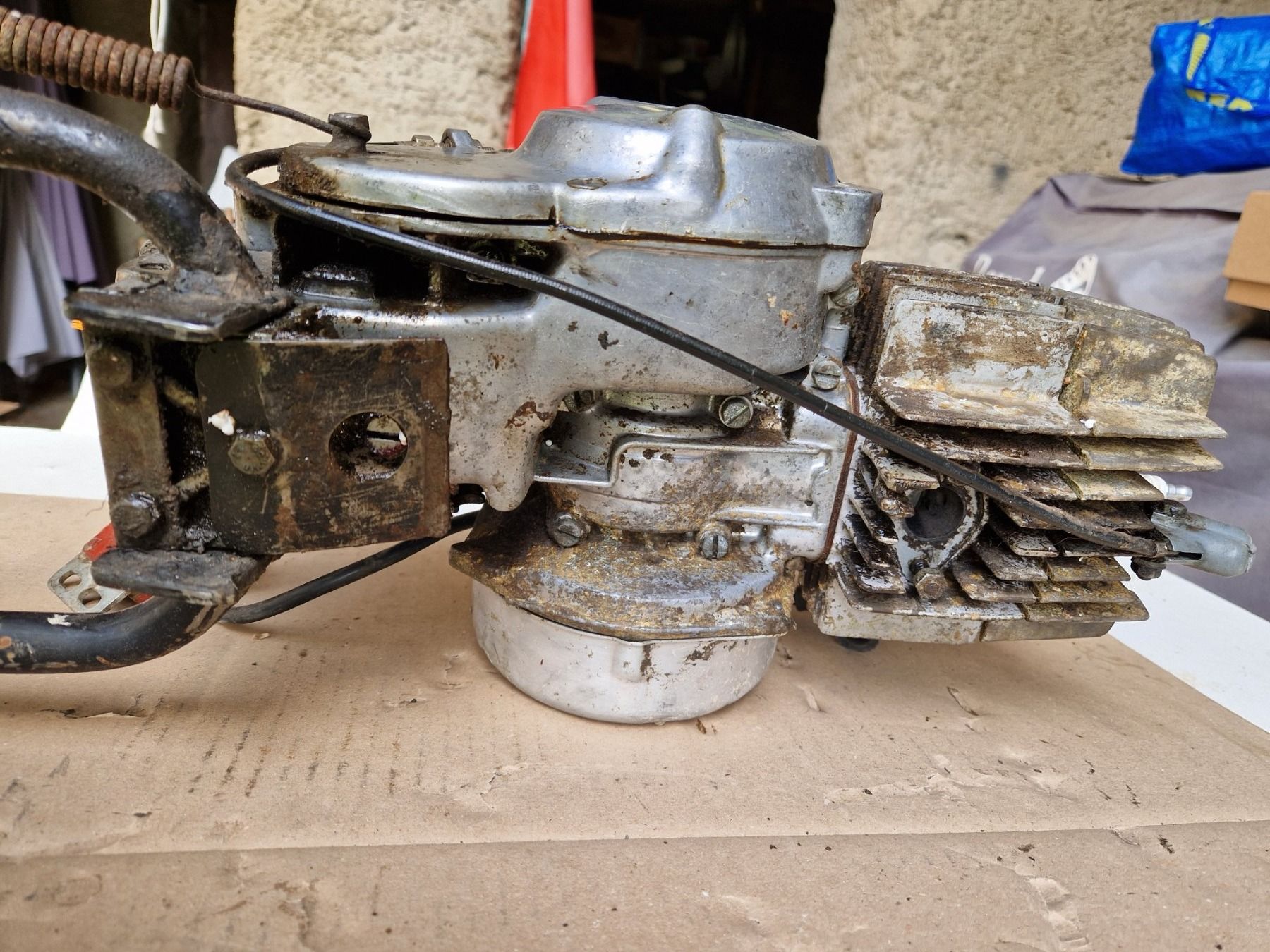 Puch Mofas: Motore Puch con cilindro originale Austria – Gebraucht aus Breno von  5