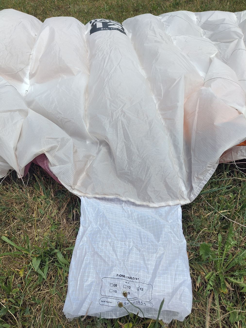 Aquilone: Fone Halo 12m Kite – Usato da Uznach venduto da TheRoyalrider 6