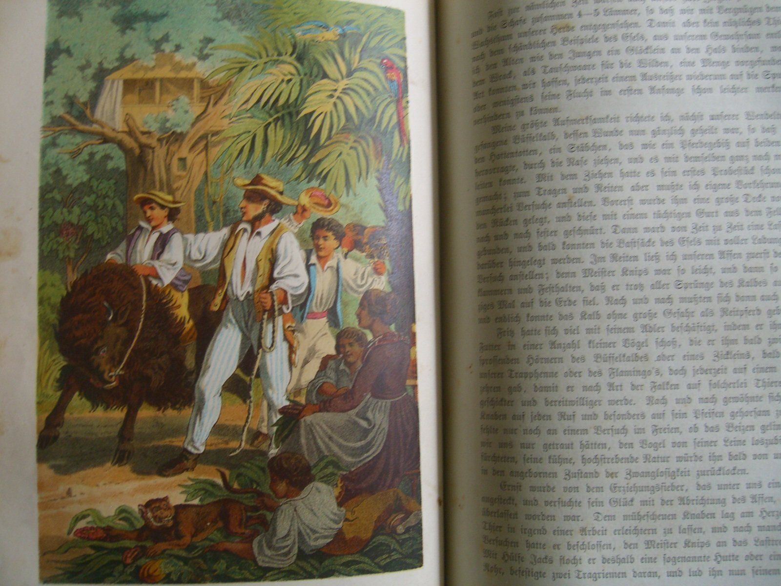 Livres: Schweizerischer Robinson – D'occasion à Bischofszell par Joachim-115 2